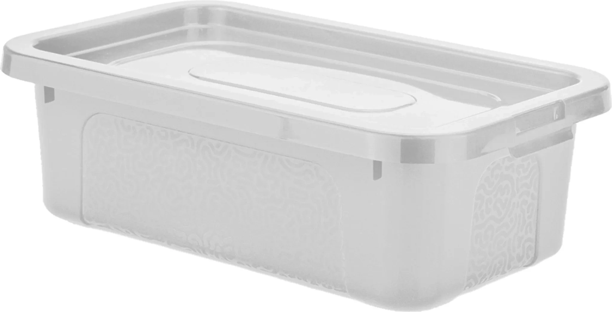 Aufbewahrungsbox mit Deckel – 4,5 Liter – 33 × 20 × 10 cm – Transparent